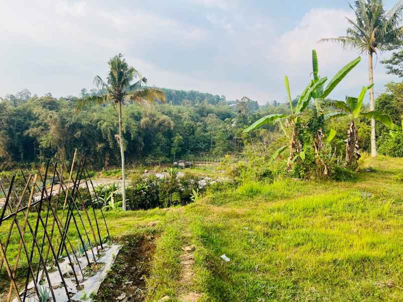 tanah 700rb m dekat sungai karangpandan