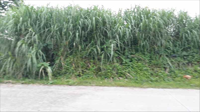 tanah batujajar cimareme