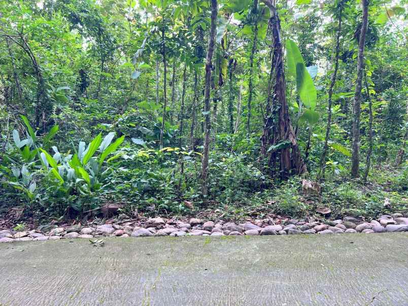 tanah datar utara kantor kecamatan kerjo karanganyar