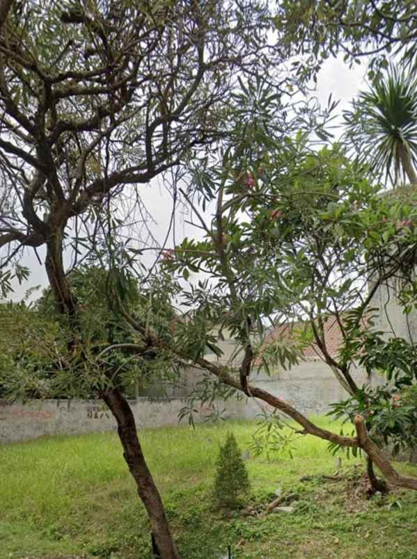 tanah di bintaro lt 259 shm jl pisok pondok ranji