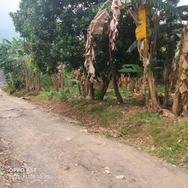 tanah di pramuka kemiling bandar lampung