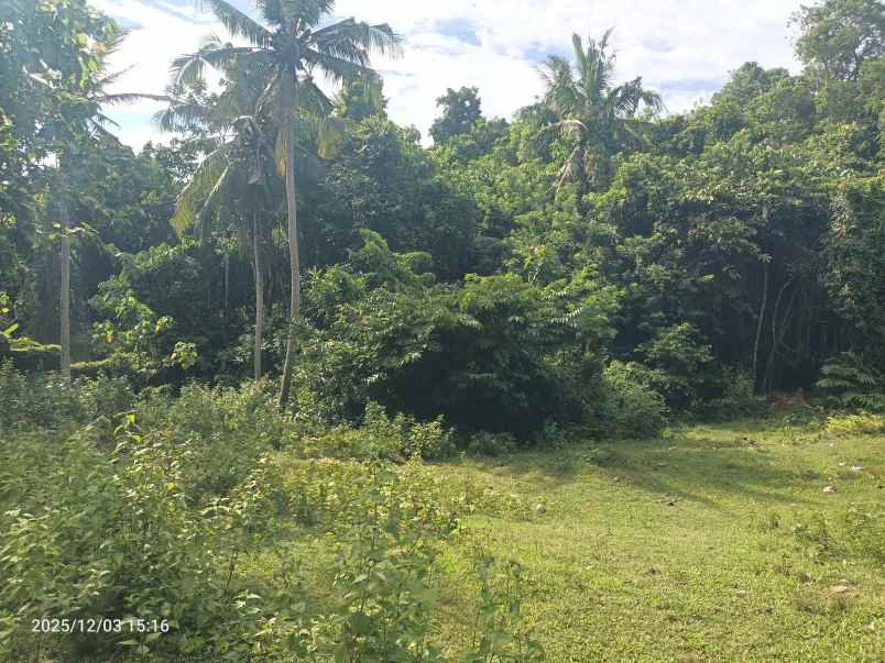 tanah di tabanan bali dekat pantai soka dan balian