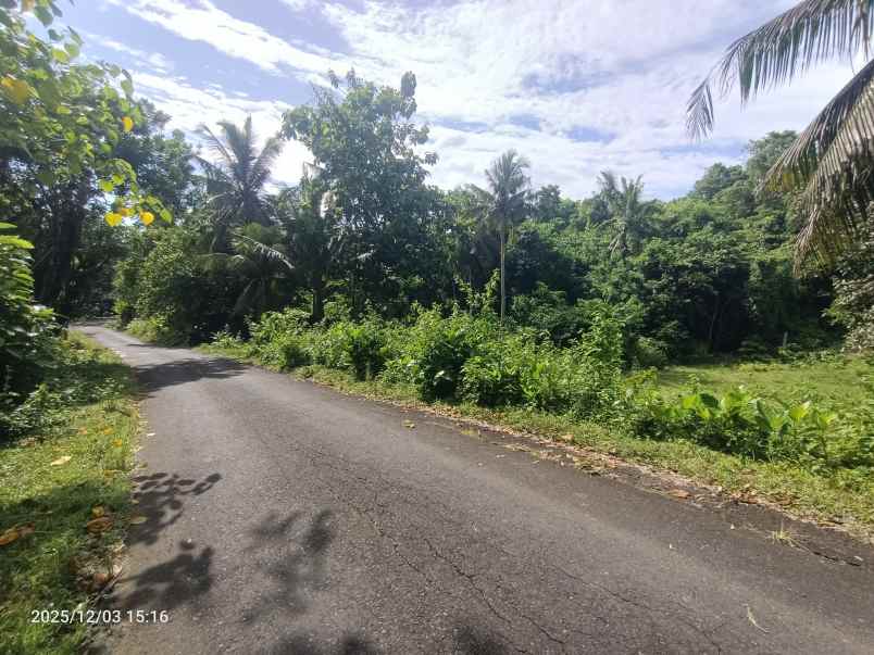 tanah di tabanan bali dekat pantai soka dan balian
