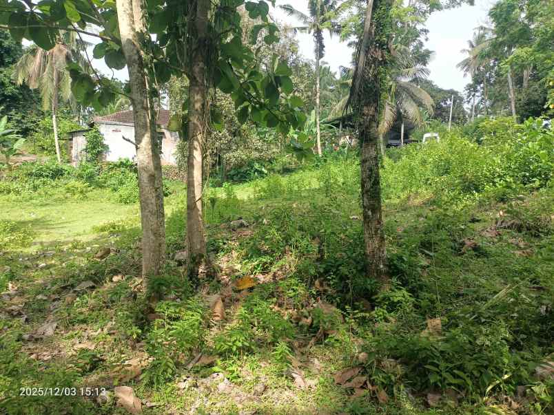 tanah di tabanan bali dekat pantai soka dan balian