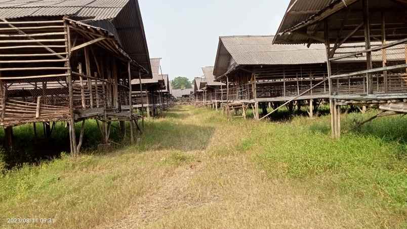 tanah industri 1 3 ha setu bekasi