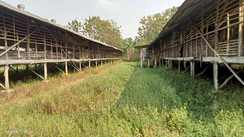 tanah industri 1 3 ha setu bekasi