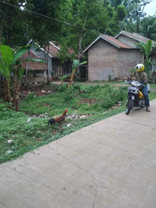 tanah kavling murah pinggir jalan di cisalam baros