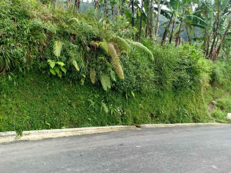tanah kawasan wisata alam