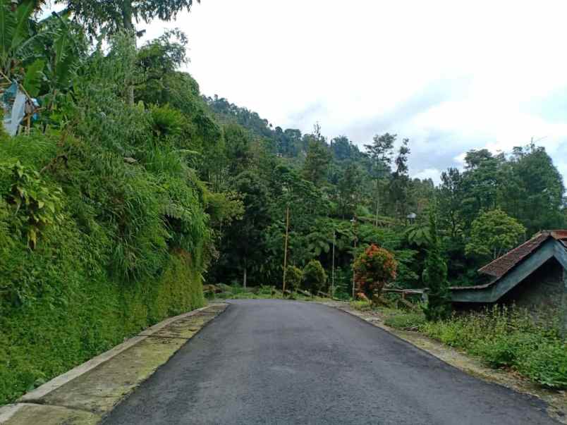 tanah kawasan wisata alam