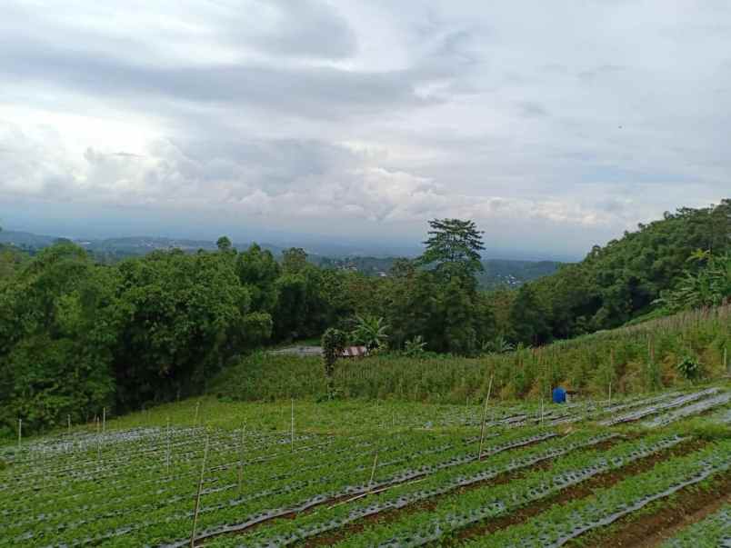 tanah kawasan wisata alam