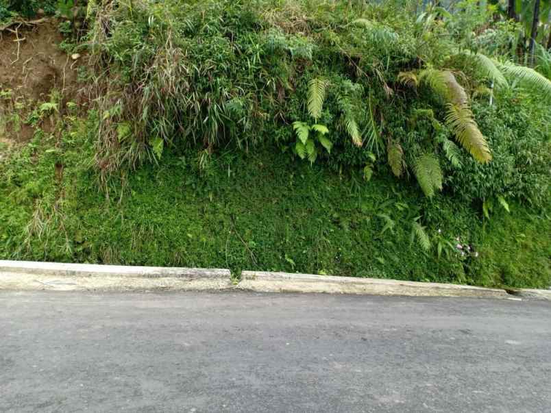 tanah kawasan wisata alam