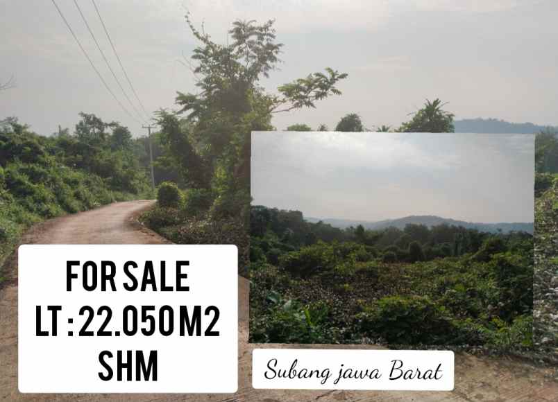 tanah kebun akses jalan cor dawuan subang