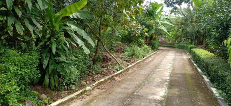 tanah kerjo karanganyar