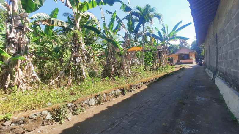 tanah kost 300 jt an dekat uii 30 meter jl pandanaran