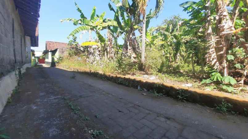tanah kost 300 jt an dekat uii 30 meter jl pandanaran