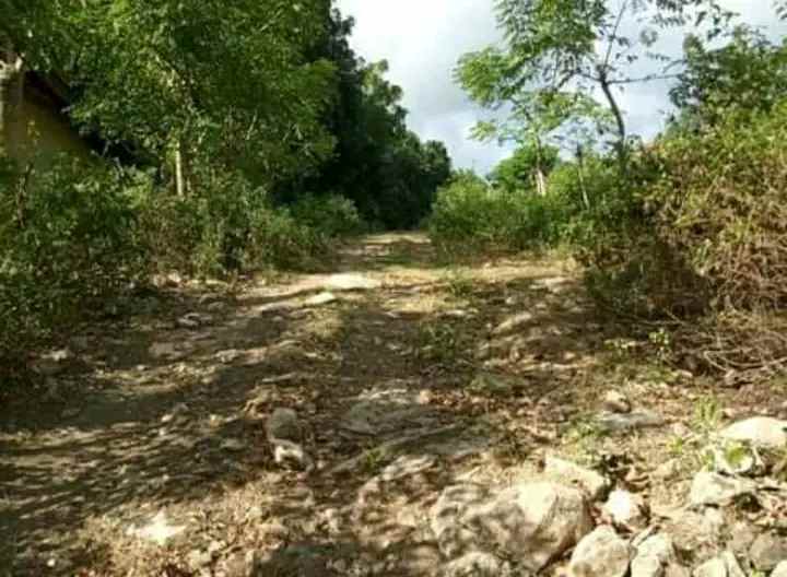 tanah lokasi nambung lombok selatan