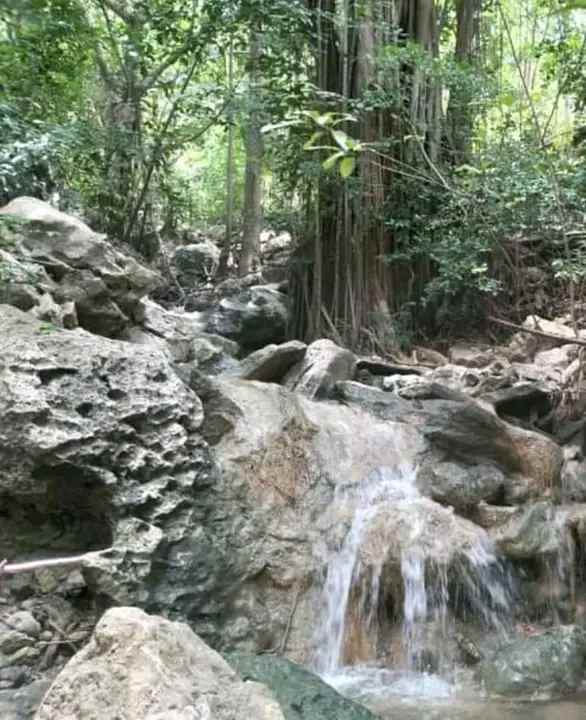 tanah lokasi nambung lombok selatan