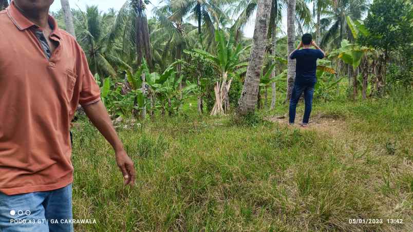 tanah luas 17 hektar di sidomulyo lampung selatan