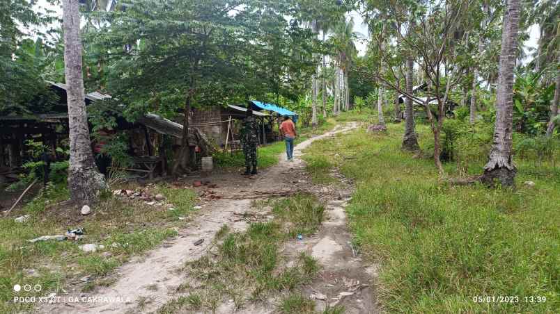 tanah luas 17 hektar di sidomulyo lampung selatan