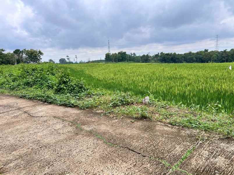 tanah sawah subur 2400m2 kerjo karanganyar
