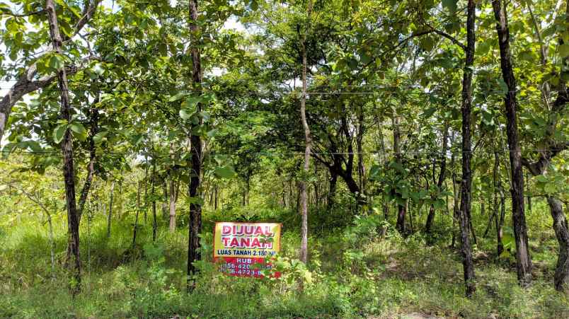 tanah strategis tawangsari sukoharjo