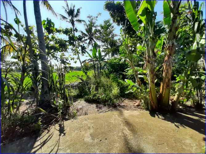 tanah temon depan bandara yia cocok investasi