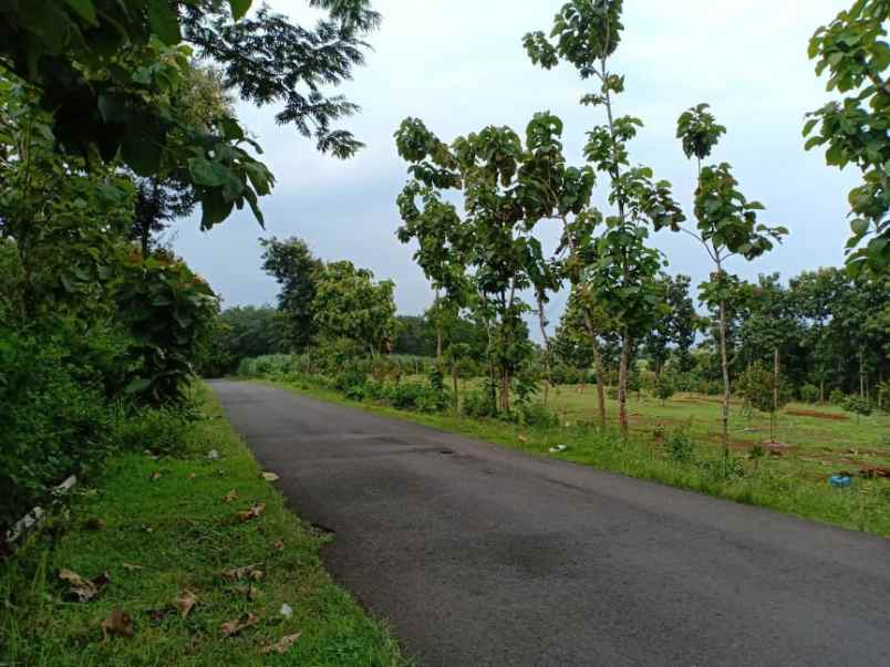 tanah tepi jl raya kerjo