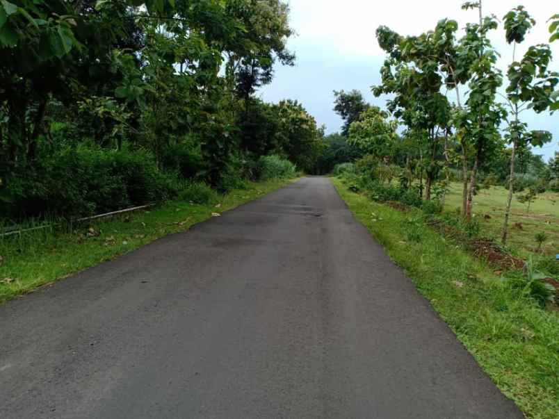 tanah tepi jl raya kerjo