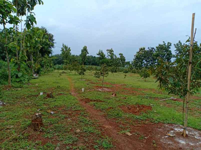 tanah tepi jl raya kerjo