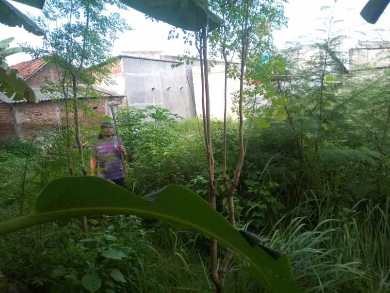 tanah wiyung gg 1 surabaya