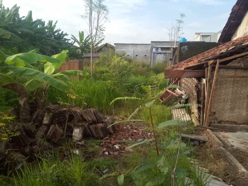 tanah wiyung gg 1 surabaya