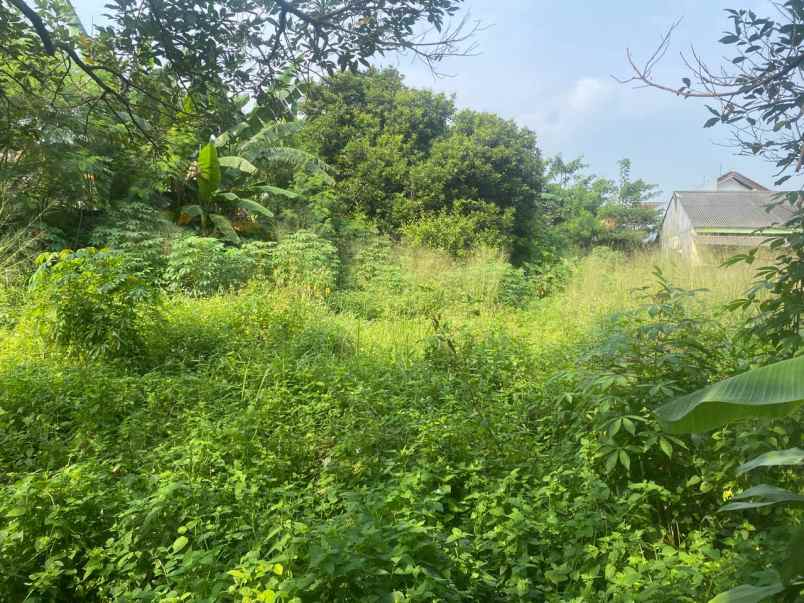 turun harga jual tanah di jl desa leuwinanggung depok