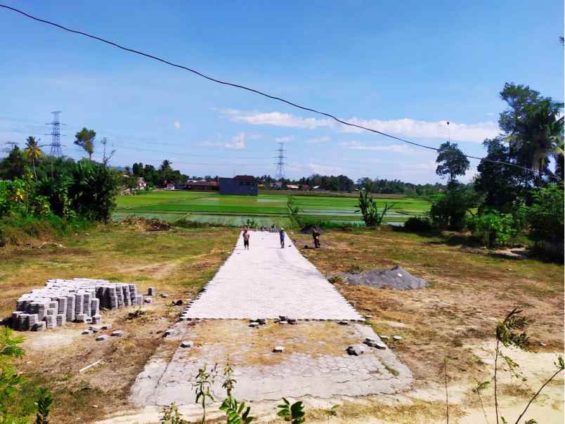 view sawah masih asri pekarangan di sewon cocok hunian