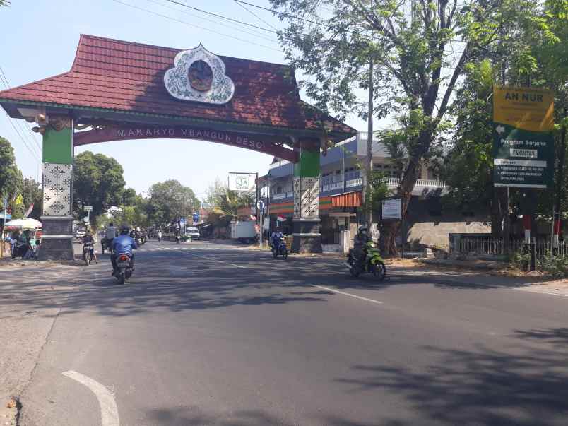 view sawah masih asri pekarangan di sewon cocok hunian