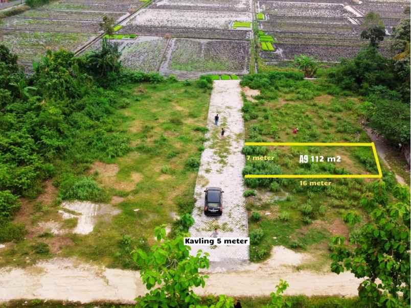 view sawah masih asri pekarangan di sewon cocok hunian