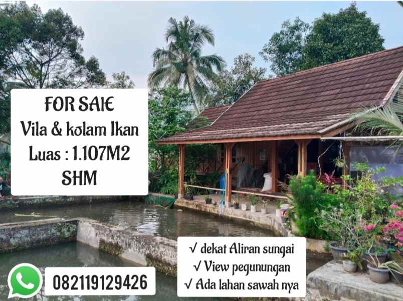 vila kolam ikan view bagus tanjung siang subang