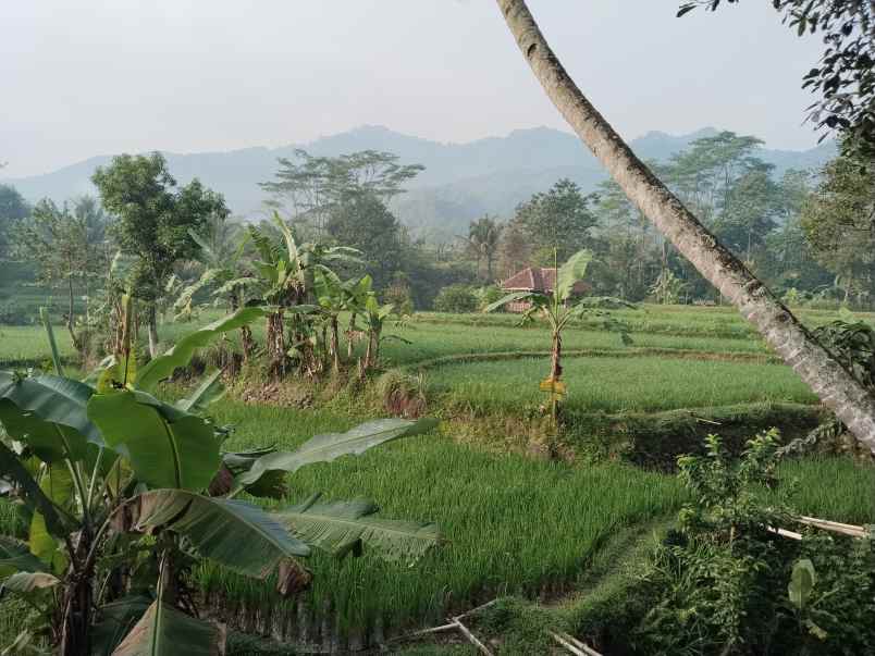 vila kolam ikan view bagus tanjung siang subang