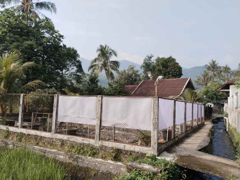 vila kolam ikan view bagus tanjung siang subang