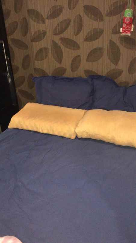 apartemen jl trembesi pademangan