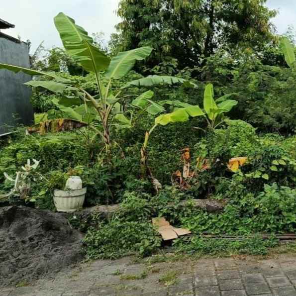 dijual 2 are jl veteran buduk pererenan mengwi badung