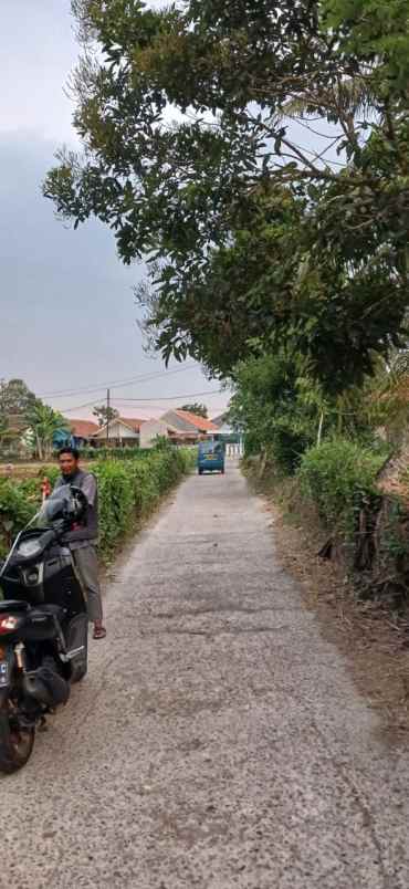 dijual kost cikarawang