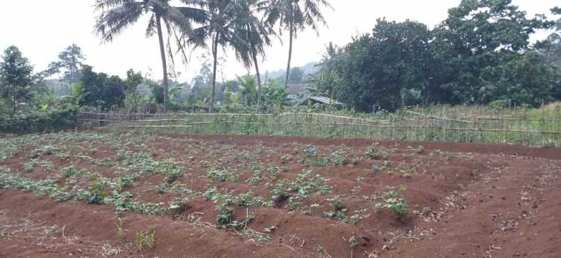 dijual kost cikarawang