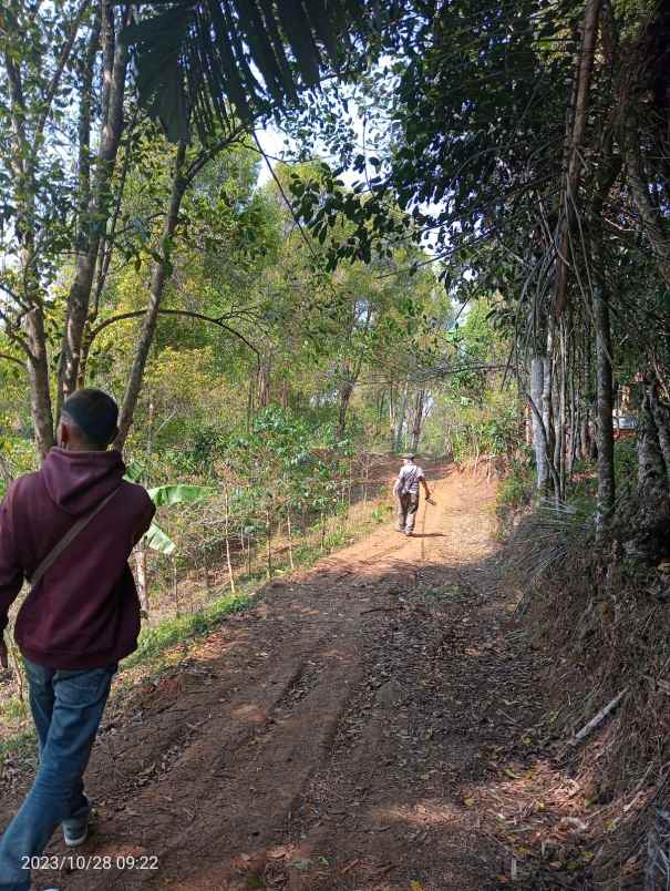 dijual lahan produktif