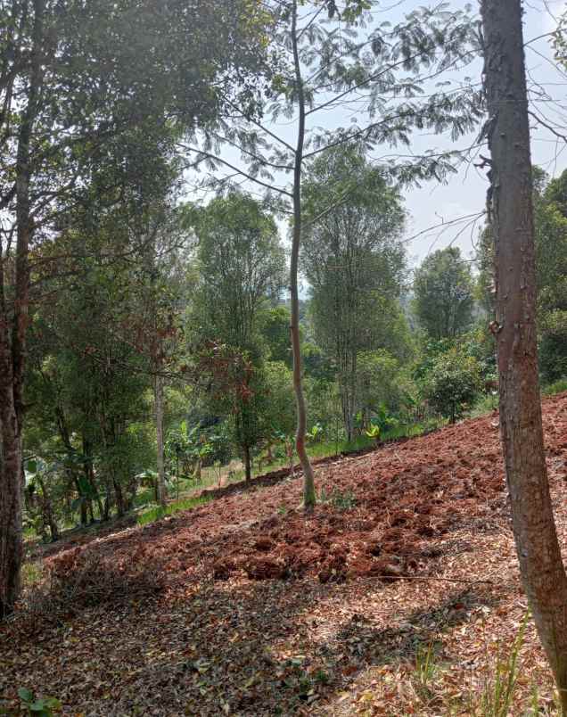 dijual lahan produktif