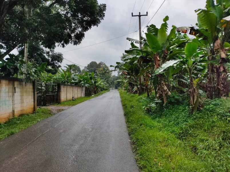 dijual luas tanah 1000 m