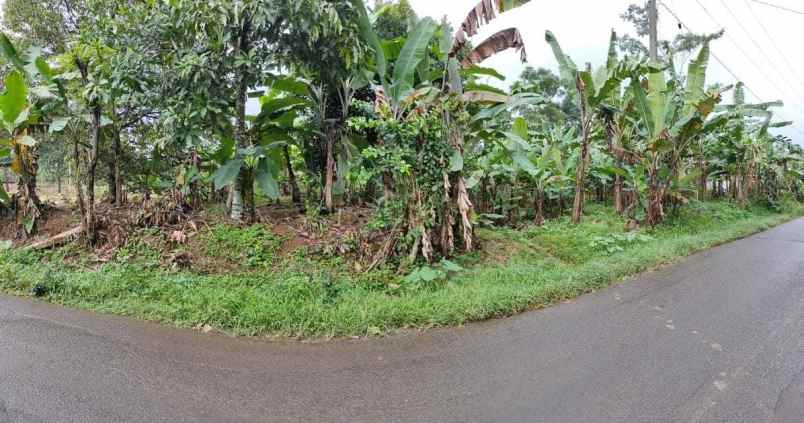 dijual luas tanah 1000 m