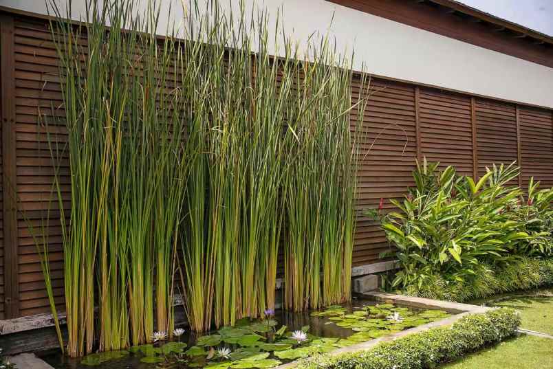 dijual luxury villa di canggu kuta utara badung bali