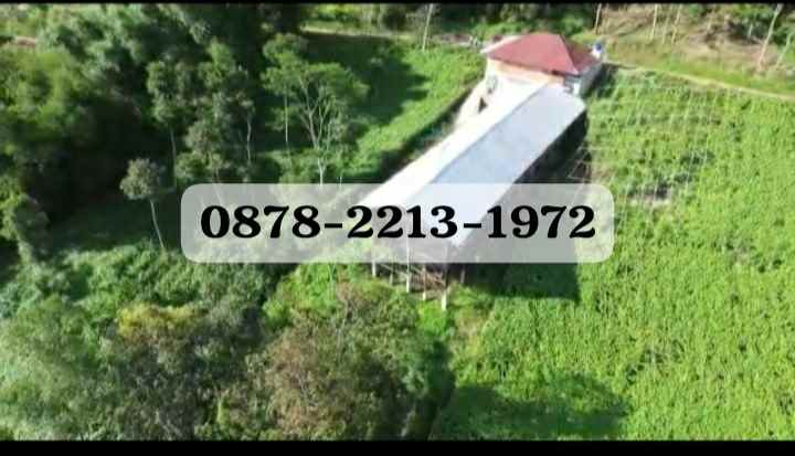 dijual rumah ciwidey kab bandung