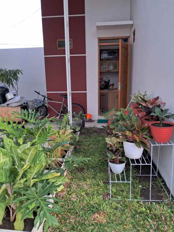 dijual rumah dijual rumah cepat beserta