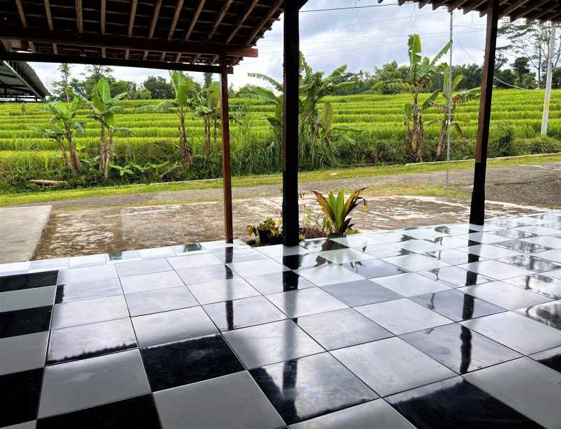 dijual rumah joglo mojogedang karanganyar